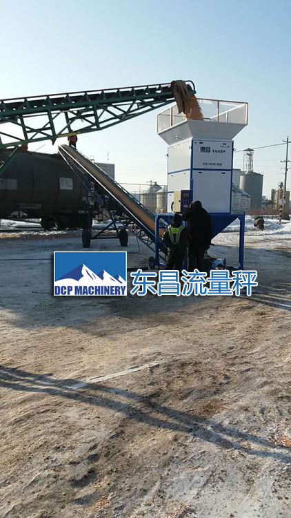 吉林糧食流量秤DCS-L100，50